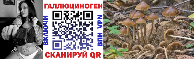Галлюциногенные грибы Magic Shrooms  как найти   MEGA онион  Углегорск 